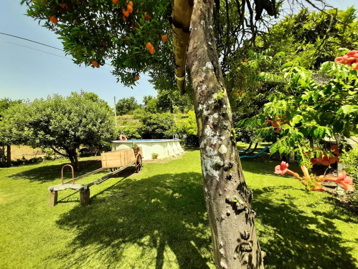 Monção Casa Do Pacoゲストハウス エクステリア 写真